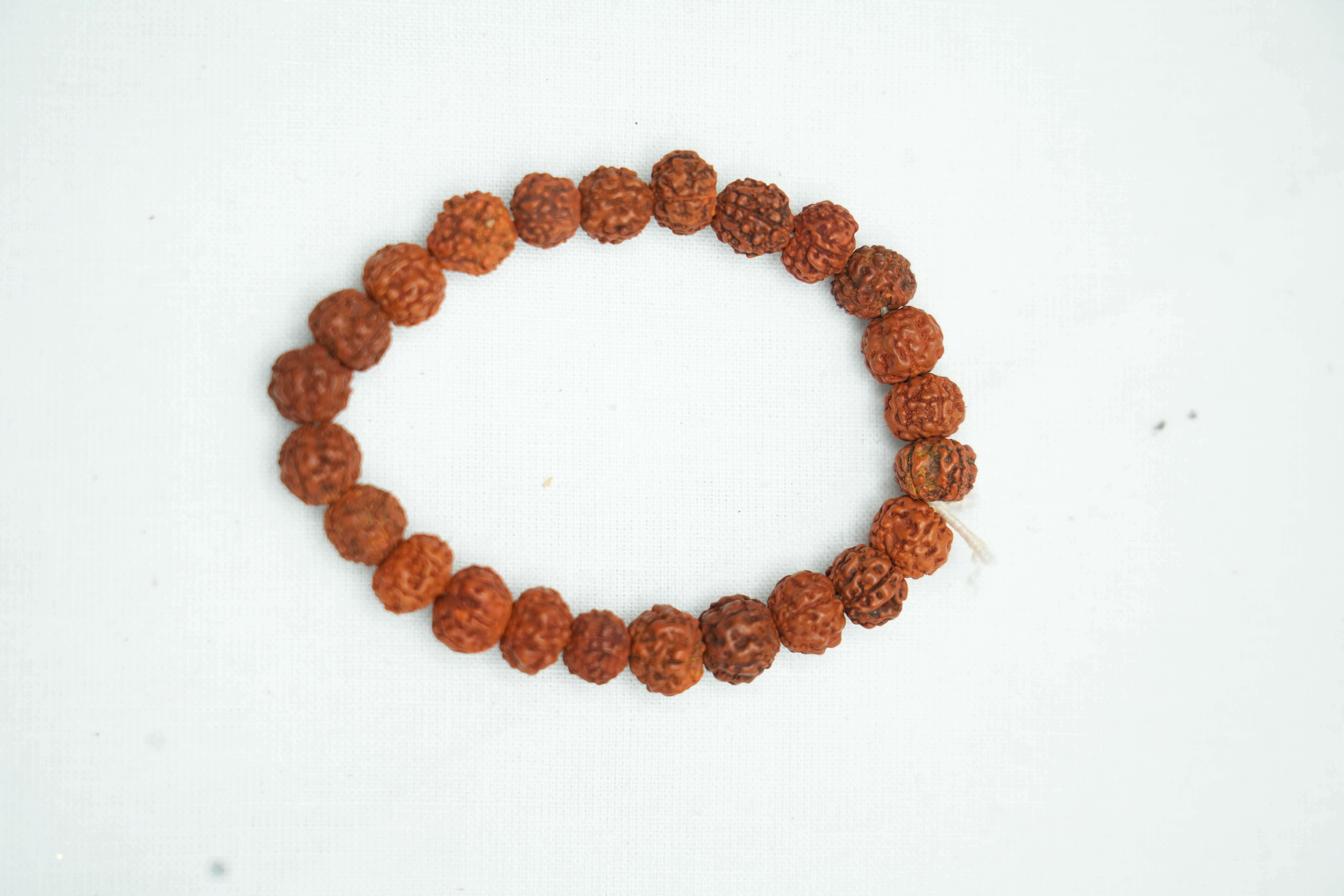 Plan Rudraksha Bracelet