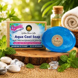 Aqua Cool Soap 60