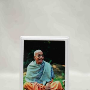 Sril Prabhupada Night Lamp
