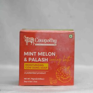 Mint Melon &Palash Soap