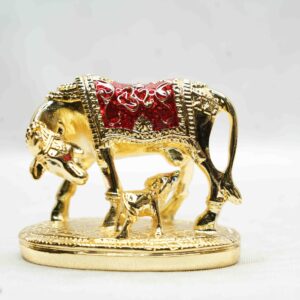 Royal Cow 480