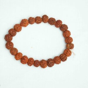 Plan Rudraksha Bracelet